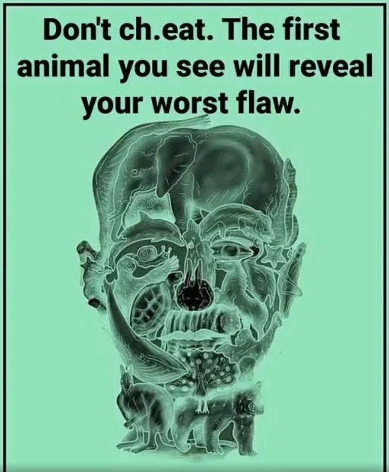 ANIMAL