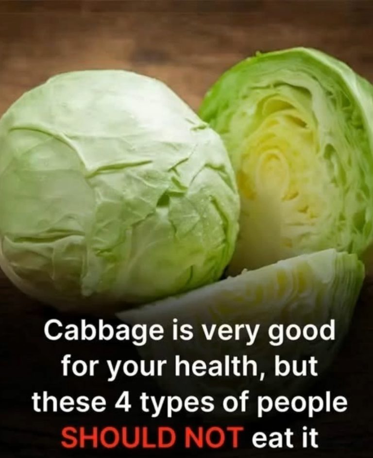 CABBAGE