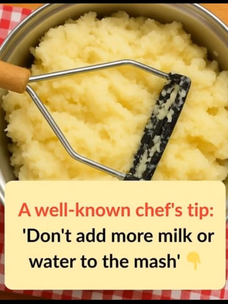 CHEF THUMB