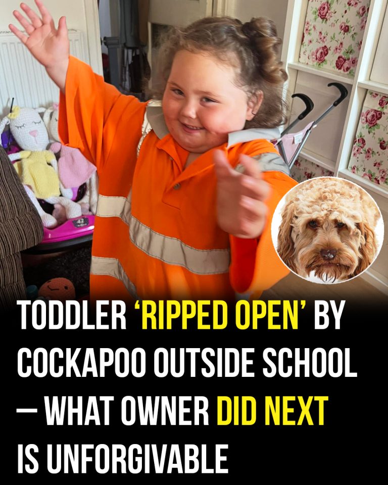 COCKKAPOO
