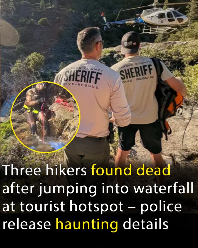 HIKERS