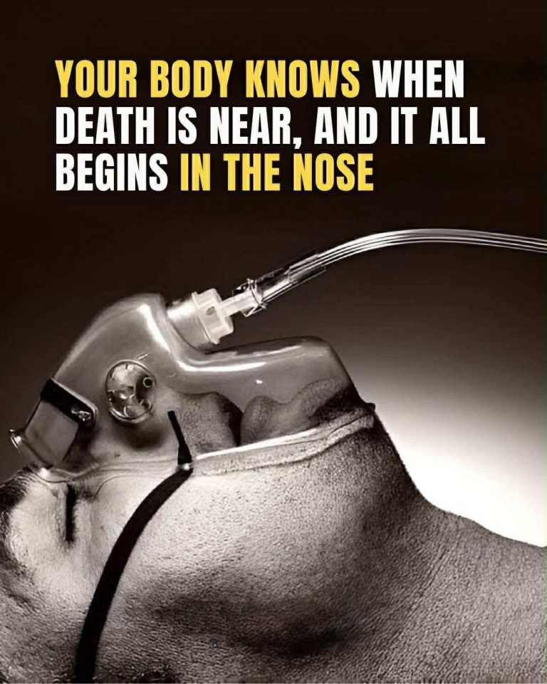 NOSE
