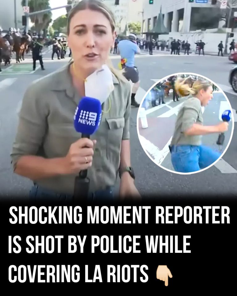 REPORTER
