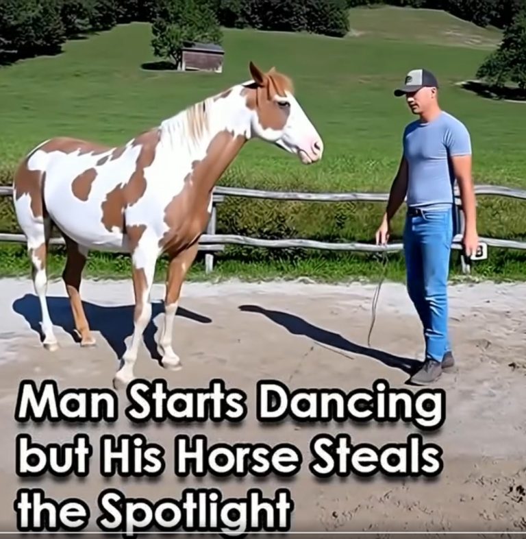 SPOTLIGHT
