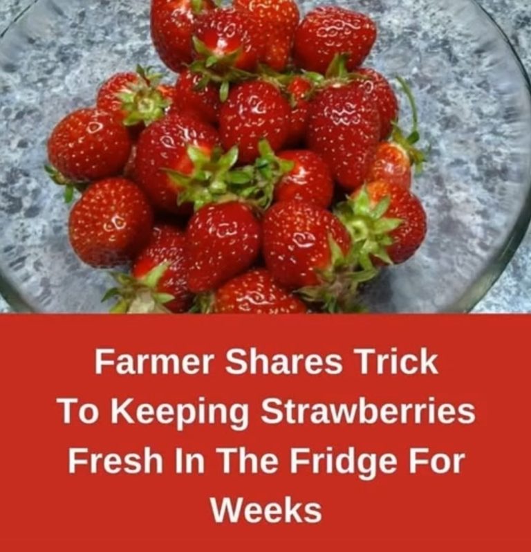 STRAWBERRIE