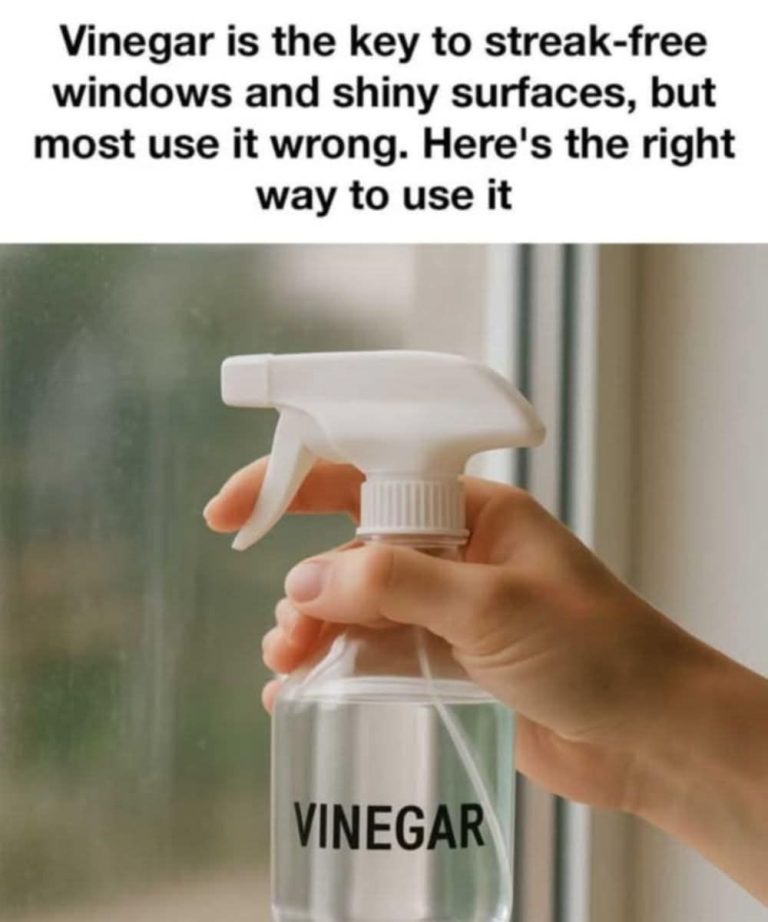 VINEGAR