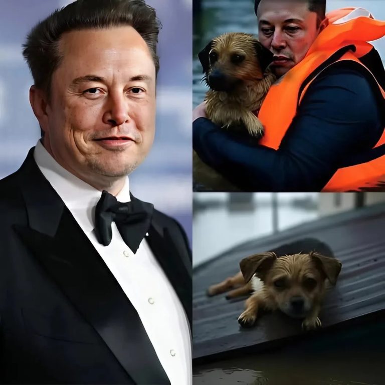 522969316_122133356738825555_4193078013660421778_n