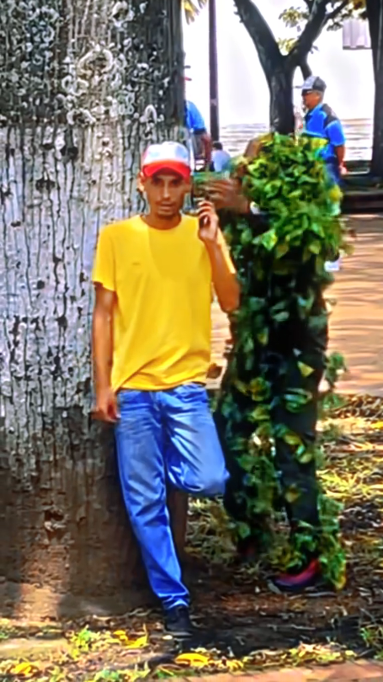 BUSH
