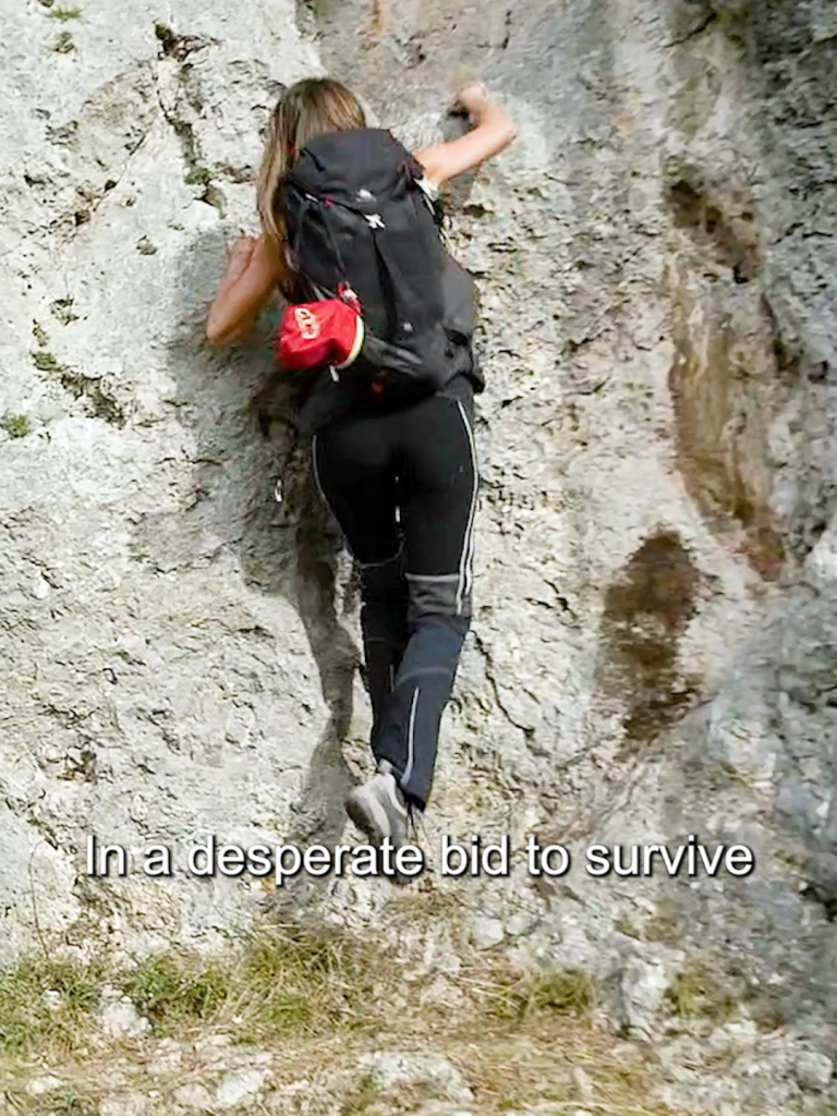 CLIMB