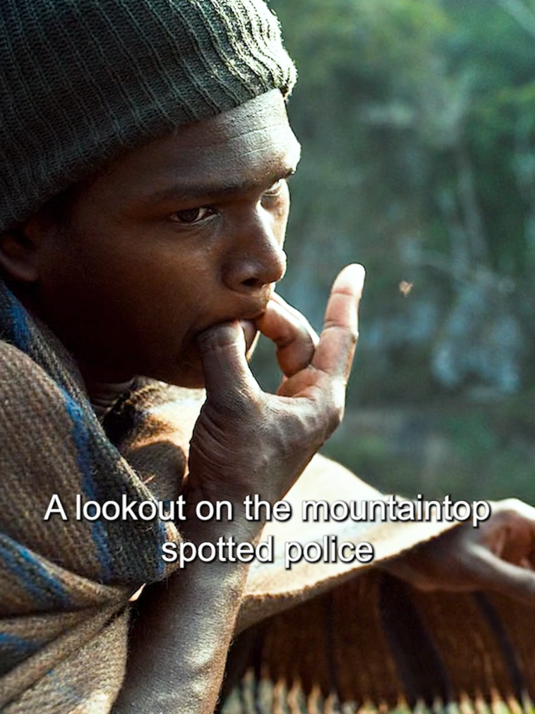 FORESTT