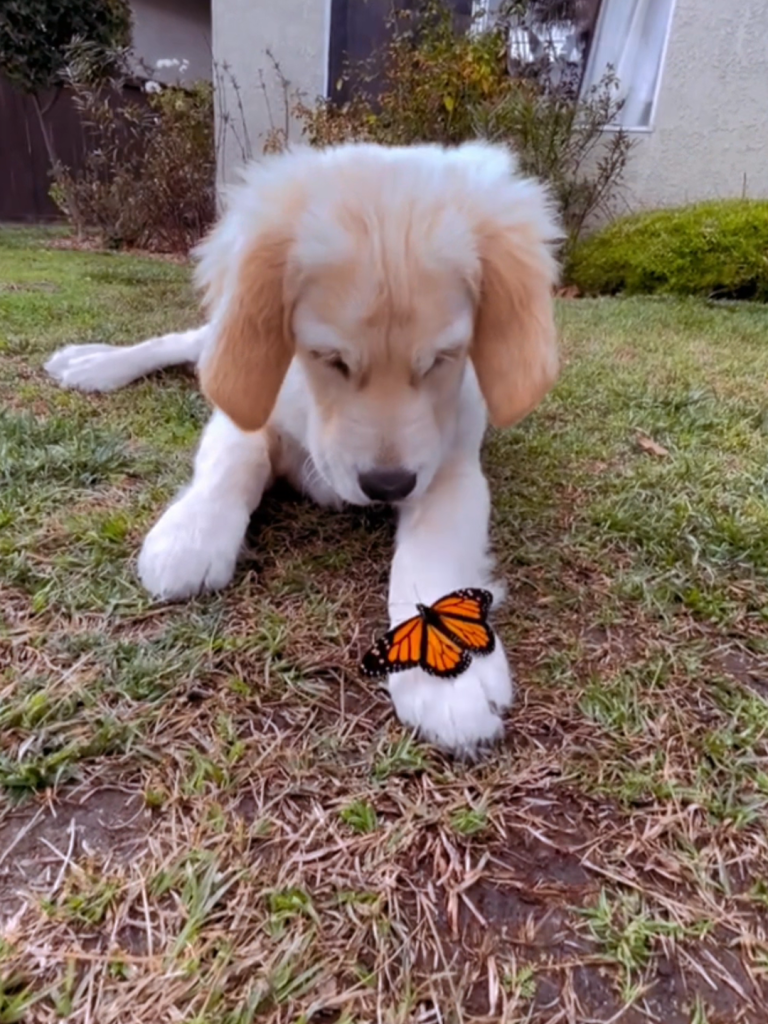 THAT TINY