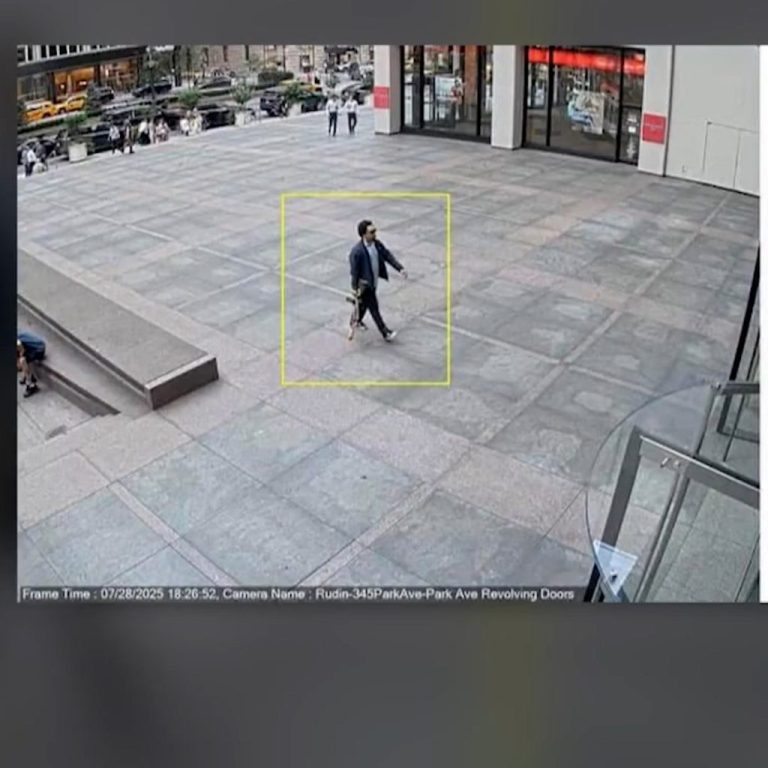 snaptik_7530958327329623351.00_00_46_16.Still004-1024x1024