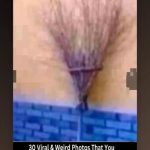 viber_image_2026-01-29_13-34-38