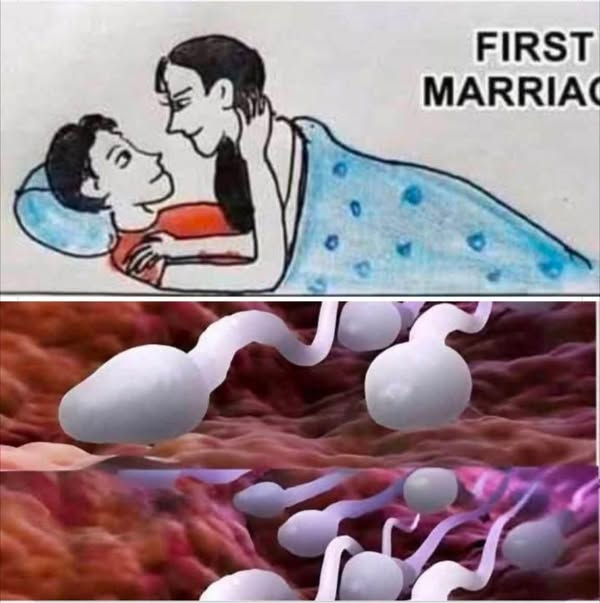 Studies reveal that swallowing your partner’s semen…. Read More