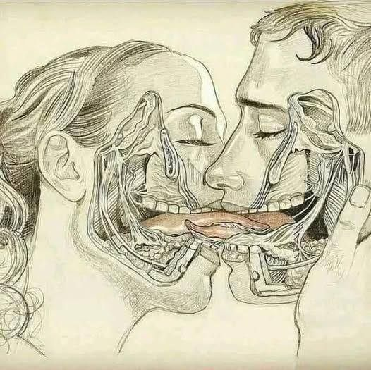 What It Means If Your Partner Kisses You More Often With Their Tongue